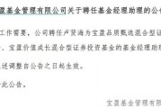 罕見！寶盈基金詭異的基金經(jīng)理變動(dòng)！