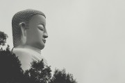 夢中之旅，與他人共度的奇妙時光，夢中之旅，與他人共度的奇妙時光