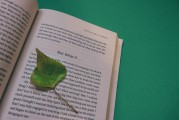 湖南校園注冊攻略，輕松開啟你的大學(xué)生活，湖南校園注冊全攻略，輕松邁入大學(xué)生活新篇章