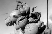 夢(mèng)中的陰影，解讀夢(mèng)到好多死人的深層含義，解讀夢(mèng)中陰影，夢(mèng)到好多死人的深層含義