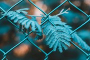 SEO是什么？，簡要解析，理解SEO的基本概念和術(shù)語