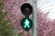 新車輪胎發(fā)黃的原因是什么？如何預(yù)防和處理這一問題？