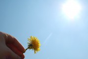 夢(mèng)中的朋友，大肚子的寓意，夢(mèng)中的朋友與大肚子的寓意