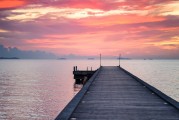 夢(mèng)到摘果子的奇幻之旅，奇幻之旅，夢(mèng)中的摘果之旅