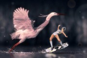 荒野之息，解鎖馬兒自由奔跑的秘密—馬匹注冊(cè)全攻略，探索荒野自由，馬匹注冊(cè)攻略詳解
