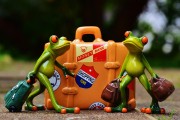 僵尸戰(zhàn)爭(zhēng)，如何輕松注冊(cè)，開(kāi)啟你的戰(zhàn)斗之旅！輕松注冊(cè)，加入僵尸戰(zhàn)爭(zhēng)，開(kāi)啟你的驚心動(dòng)魄戰(zhàn)斗之旅！