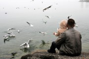 馬斯克，突發(fā)！海湖莊園傳來(lái)大消息，全球數(shù)百萬(wàn)人大集結(jié)……
