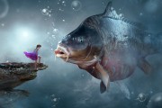 夢中捉魚，一場與魚的奇妙邂逅，夢中捉魚，一場與魚的奇妙邂逅