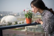 夢中邂逅，女孩的神秘世界，夢中邂逅，女孩的神秘世界