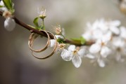 夢中之筆，一篇關(guān)于夢到文章的探索
