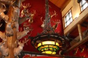 游戲盛宴，盤點(diǎn)市面上最熱門的免費(fèi)網(wǎng)游游戲大全，年度爆款免費(fèi)網(wǎng)游盤點(diǎn)，你最愛的是哪一款？