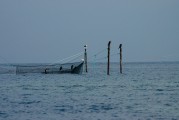 夢中的魚影，一次自我探索的殺魚夢，夢中之魚影，一次自我探索的殺魚夢境