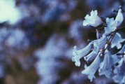 夢(mèng)游菜地，一場(chǎng)與自然的對(duì)話，夢(mèng)游菜地，與自然的對(duì)話之旅