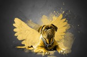 夢(mèng)到路上撿錢(qián)，財(cái)富的預(yù)兆還是虛幻的夢(mèng)？