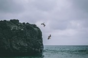 夢(mèng)到家中一片混亂，心靈的反思與生活的啟示