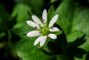 夢(mèng)到家中親人離世，心靈的觸動(dòng)與思考，夢(mèng)中親人離世的心靈觸動(dòng)與思考