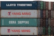 流量費(fèi)網(wǎng)站的崛起與影響，流量費(fèi)網(wǎng)站的發(fā)展與趨勢，對消費(fèi)者和運(yùn)營商的影響