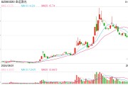 操縱股票！金運(yùn)激光實(shí)控人被判4年