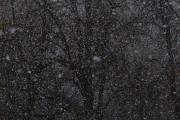 夢中雪舞，心靈的洗禮，夢中雪舞，心靈的洗禮