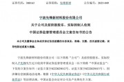 因涉嫌信息披露違法違規(guī)，先鋒新材及總經理盧先鋒被立案