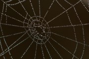 智能交通流量管理與預測，智能交通流量管理，未來發(fā)展趨勢與應(yīng)用解析