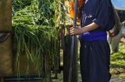 能在掙錢(qián)的免費(fèi)農(nóng)場(chǎng)游戲中生存下去嗎？，逃脫農(nóng)地，自由農(nóng)場(chǎng)生存挑戰(zhàn)