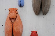 孕婦夢(mèng)到公雞的寓意與解讀，孕婦夢(mèng)到公雞的寓意與象征解讀