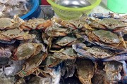 夢中奇遇，螃蟹與魚的共舞，夢中奇遇，螃蟹與魚的共舞