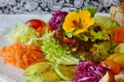 探索美食的樂(lè)趣，制作漢堡游戲免費(fèi)下載，漢堡大戰(zhàn)，模擬漢堡制作大師