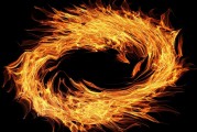模擬經(jīng)營游戲免費游戲的天堂與地獄，模擬經(jīng)營游戲，天堂還是地獄？