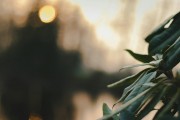 漫漫的ACG之路，尋找和熱愛的那份樂趣，ACG之路上，探索與熱愛的樂趣