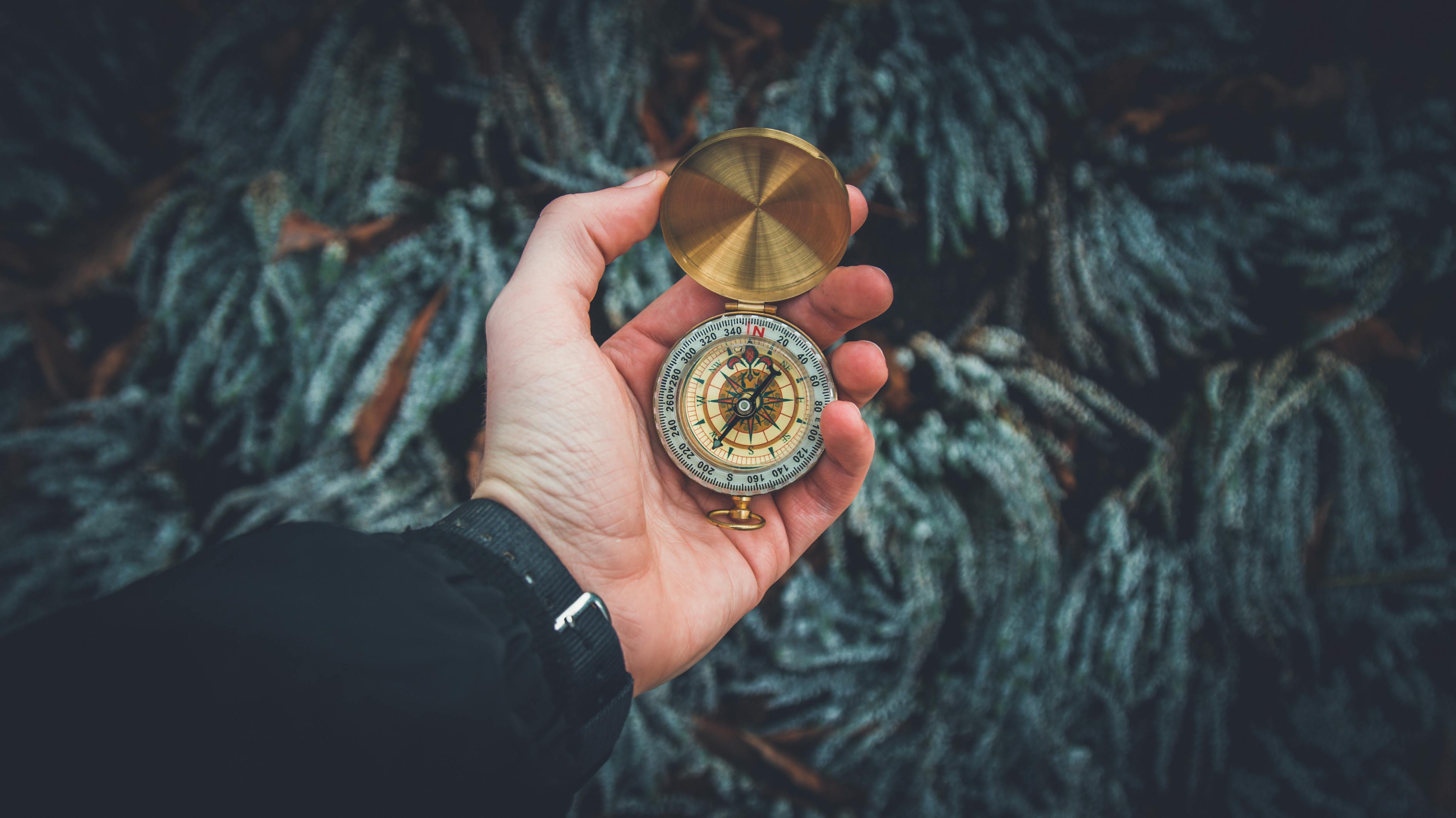 夢中的白發(fā)生長，一次關(guān)于時間、衰老與自我認知的探索