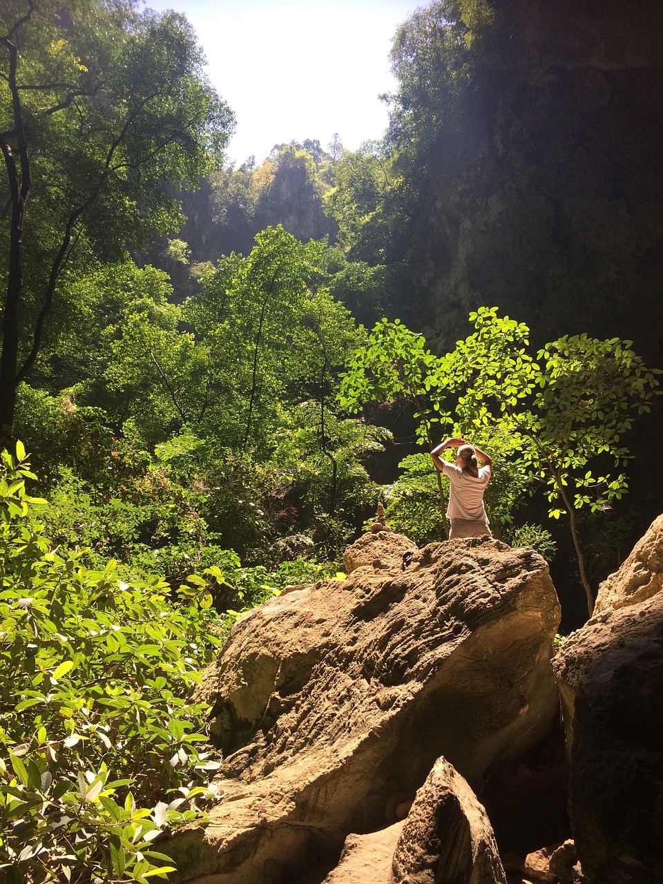 山路之夢(mèng)，探索未知的旅程