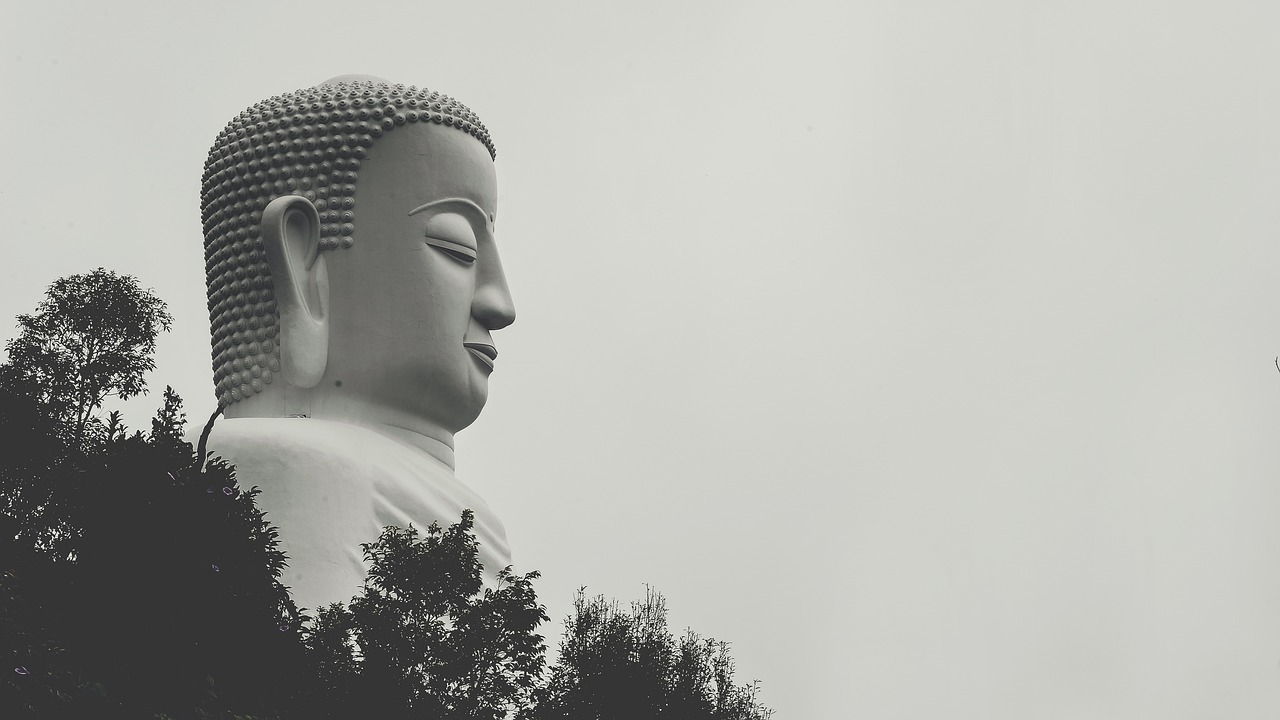 夢(mèng)中之旅，與他人共度的奇妙時(shí)光
