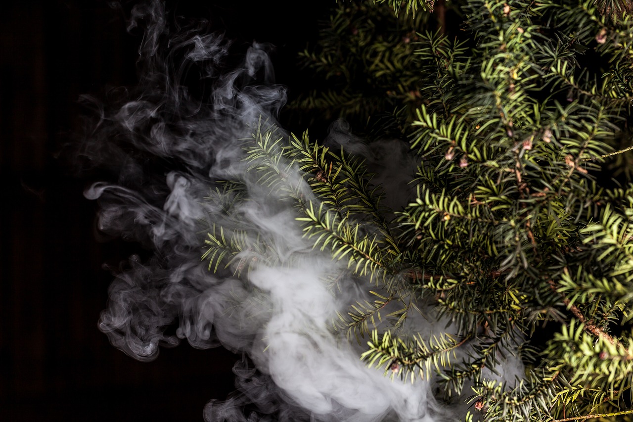 蒸汽朋克風(fēng)格的植物大戰(zhàn)僵尸，植物刺客，一款無需付費的游戲