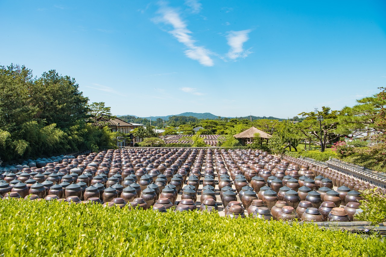 打造空中農(nóng)田，讓夢想照進(jìn)現(xiàn)實(shí)——免費(fèi)種地游戲的探索與啟示