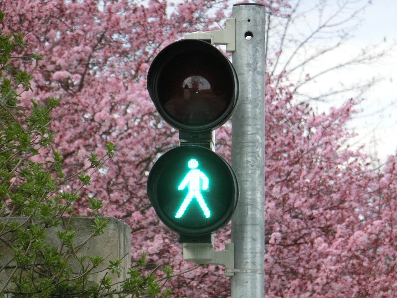 新車輪胎發(fā)黃的原因是什么？如何預防和處理這一問題？