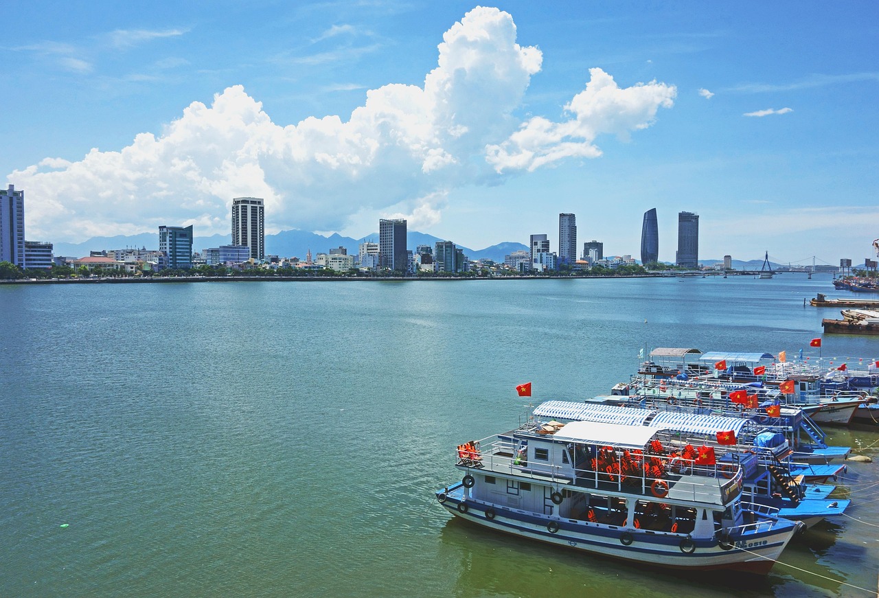 越南網(wǎng)站排名，揭秘東南亞互聯(lián)網(wǎng)市場(chǎng)的風(fēng)云變幻，東南亞互聯(lián)網(wǎng)市場(chǎng)風(fēng)云榜，越南網(wǎng)站排名大揭秘
