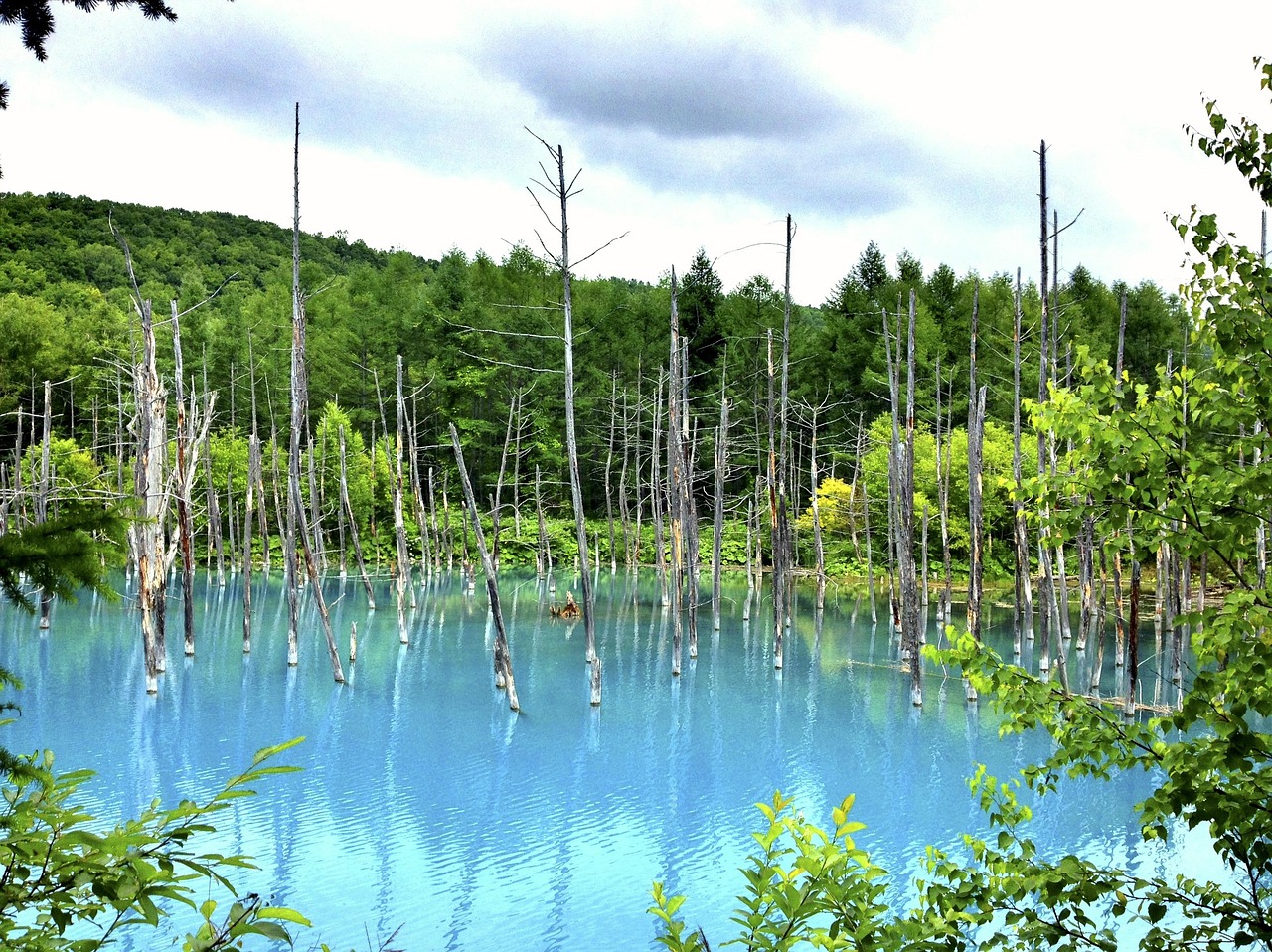 夢中邂逅，那片美麗的風(fēng)景