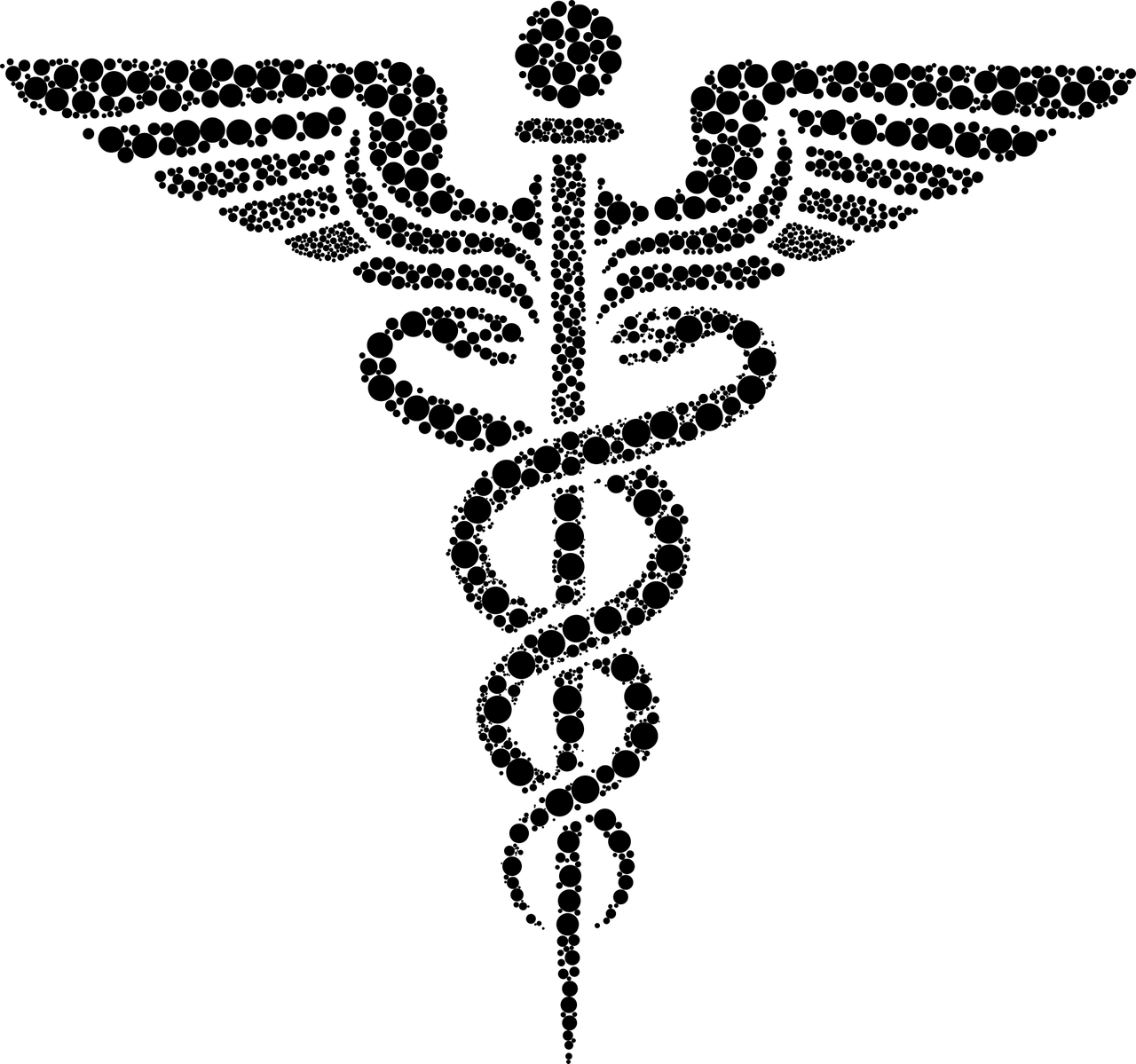 夢(mèng)中蛇影，靜謐之下的深邃啟示