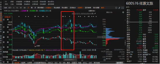 祥源文旅非經(jīng)營性資金占用雖已歸還，但仍被出具警示函！