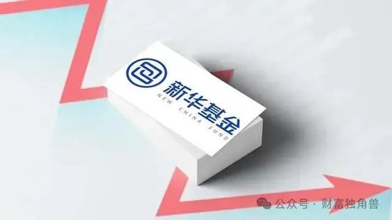 新華基金賴慶鑫在管7只基金6只虧損，高位持有國(guó)聯(lián)股份被質(zhì)疑