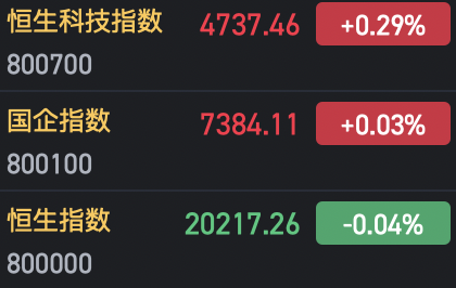 收評(píng)：港股恒指微跌0.04% 科指漲0.29%AI、半導(dǎo)體概念股漲勢(shì)強(qiáng)勁