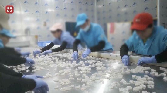 3·15晚會(huì)丨“保水蝦仁”，浮出水面！1斤蝦仁7兩冰……