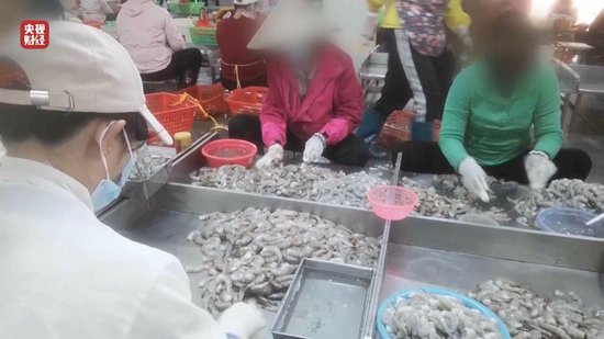 3·15晚會(huì)丨“保水蝦仁”，浮出水面！1斤蝦仁7兩冰……