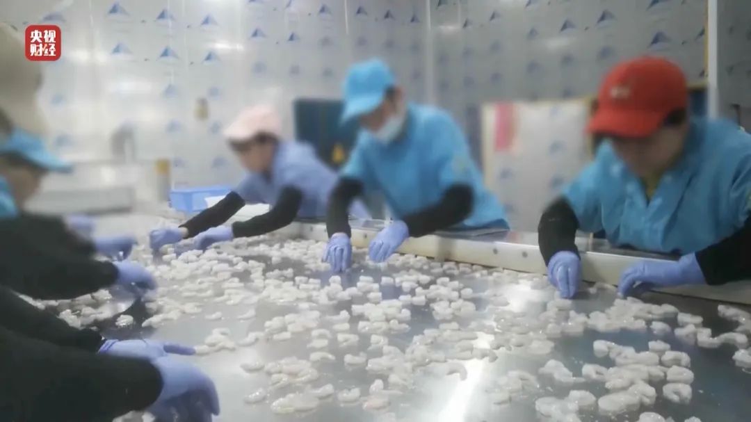 查封！關(guān)停！各地多部門連夜查處3·15曝光問題
