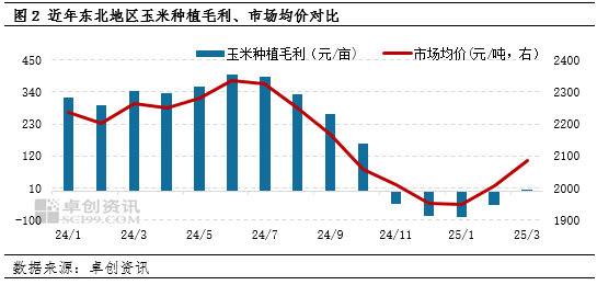 “玉”你同行：一季度東北玉米價(jià)格持續(xù)攀升，新季種植面積如何？